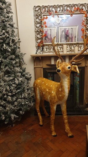 Fortnum mason lifesize - ,